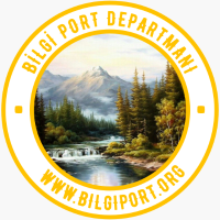 Bilgi Port Inc.